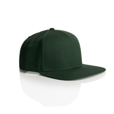 1100_STOCK_HAT_FOREST_GREEN