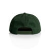 1100_STOCK_HAT_FOREST_GREEN_BACK