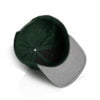1100_STOCK_HAT_FOREST_GREEN_INSIDE