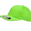 6277Kiwi 6277Kiwi